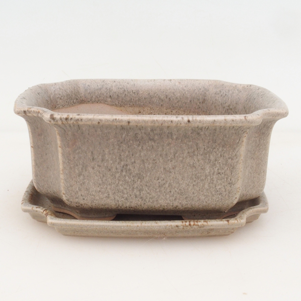 Bonsai bowl + spodek H01 - beżowy
