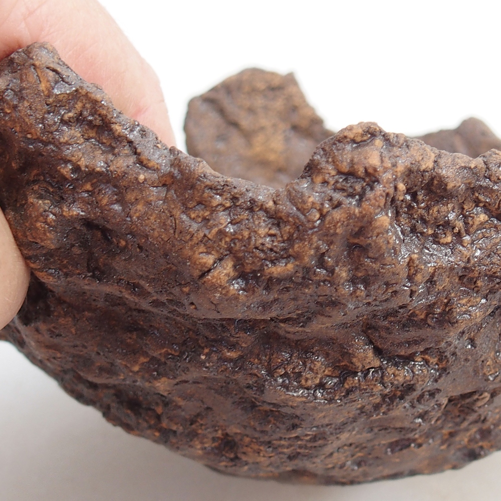 Ceramiczna skorupa 19 x 15 x 14 cm, kolor brązowy