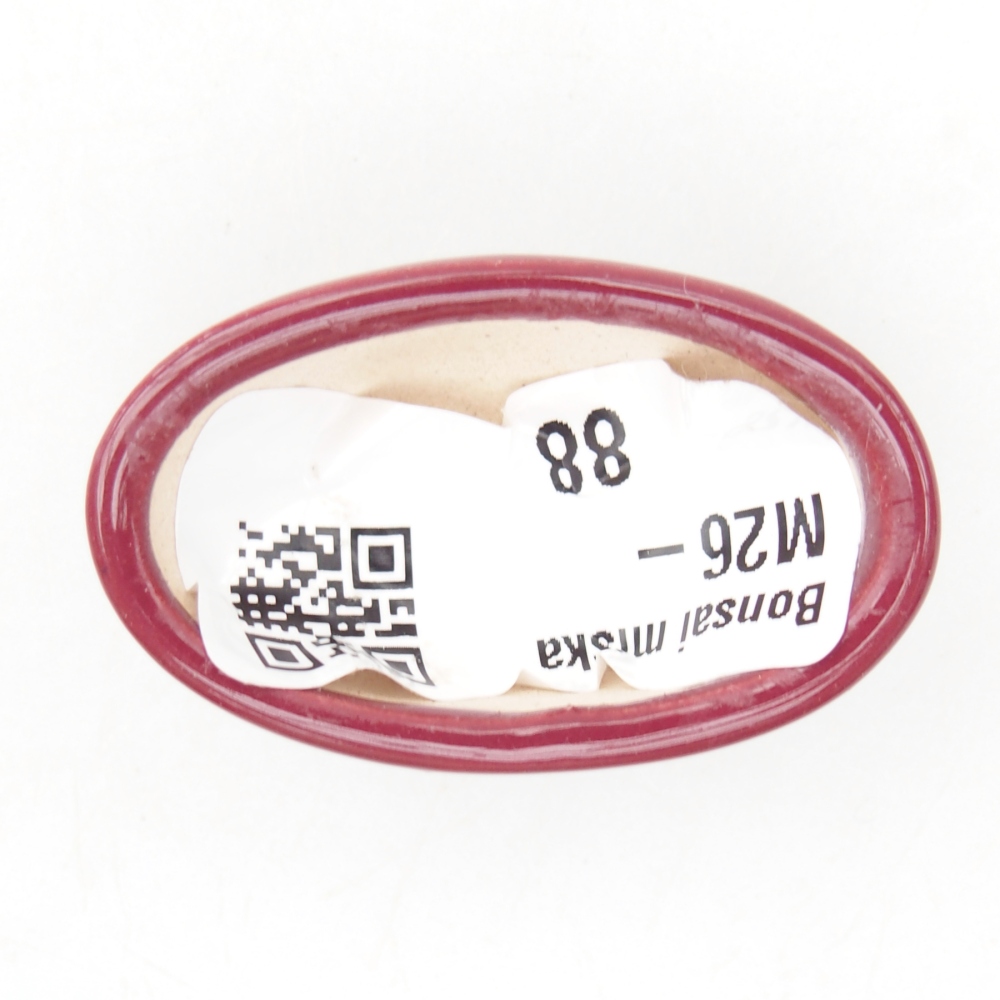 Mini miska do bonsai 4 x 2,5 x 2 cm, bordowa