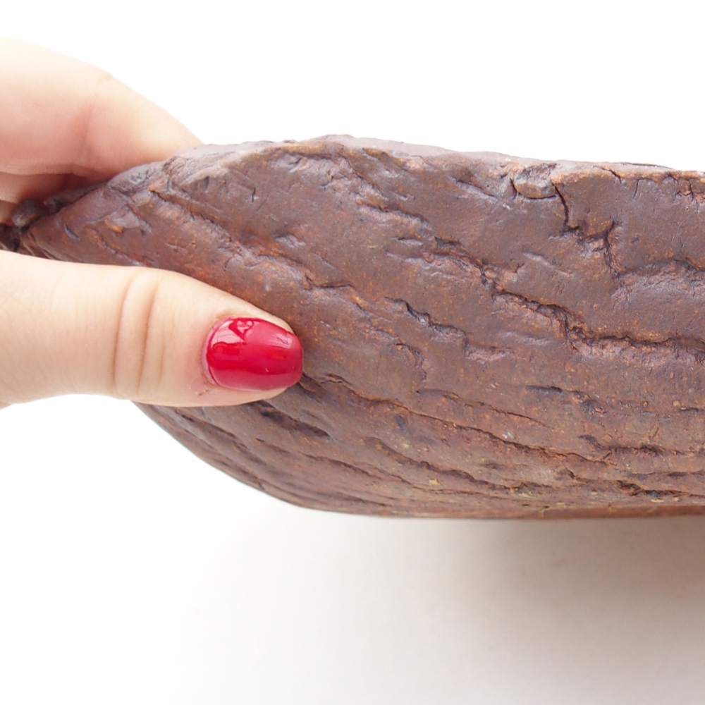 Ceramiczna muszla 31 x 21 x 7,5 cm, kolor brązowy