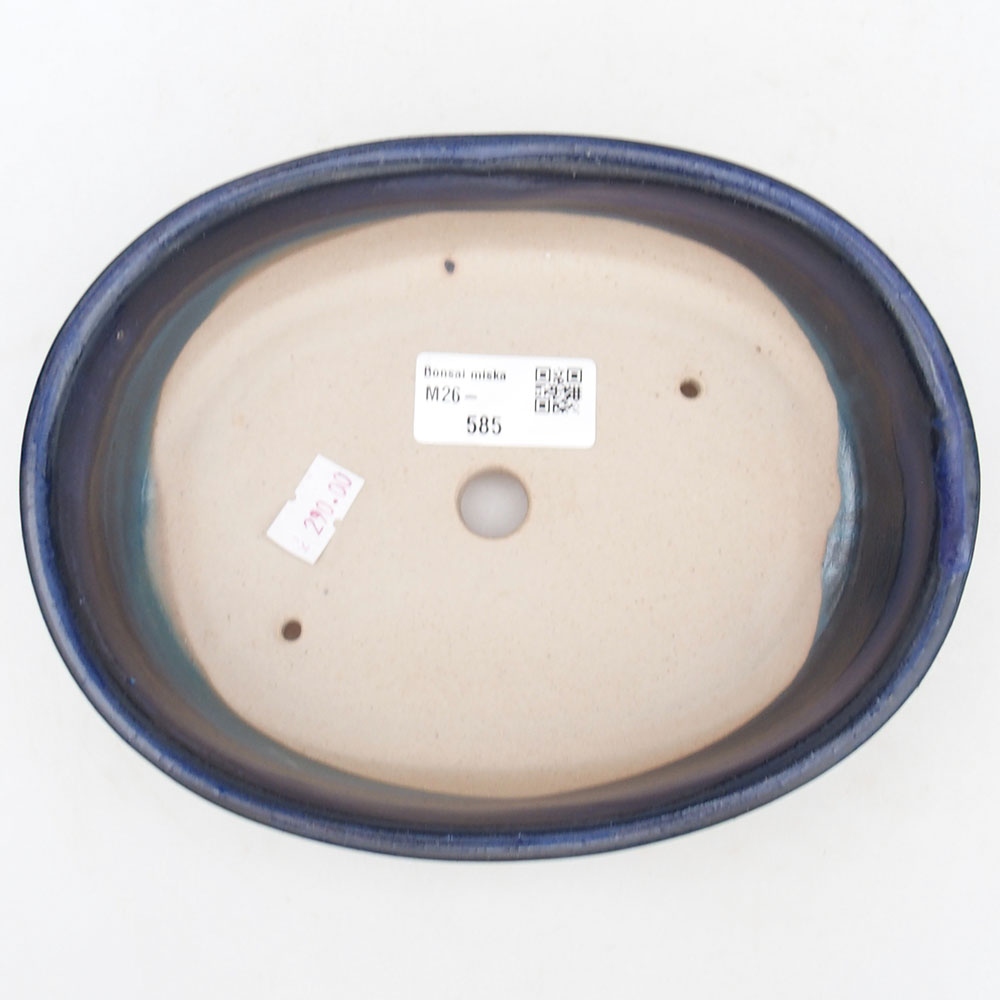 Ceramiczna miska bonsai 19 x 14 x 5 cm, kolor niebieski