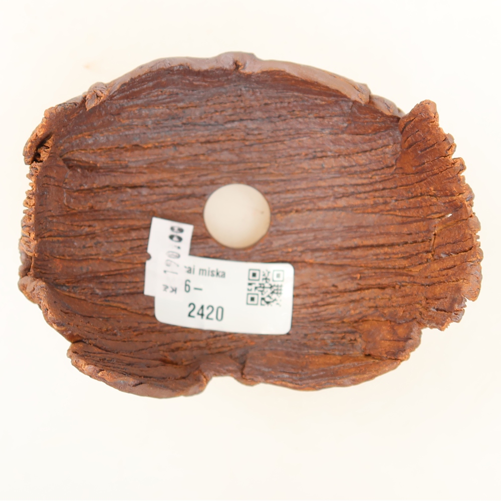 Ceramiczna skorupa  10,5 x 8,5 x 7,5 cm, kolor brązowy