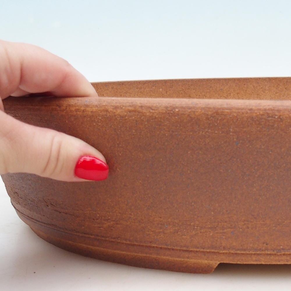 Misa bonsai 39 x 31 x 8,5 cm, kolor brązowy