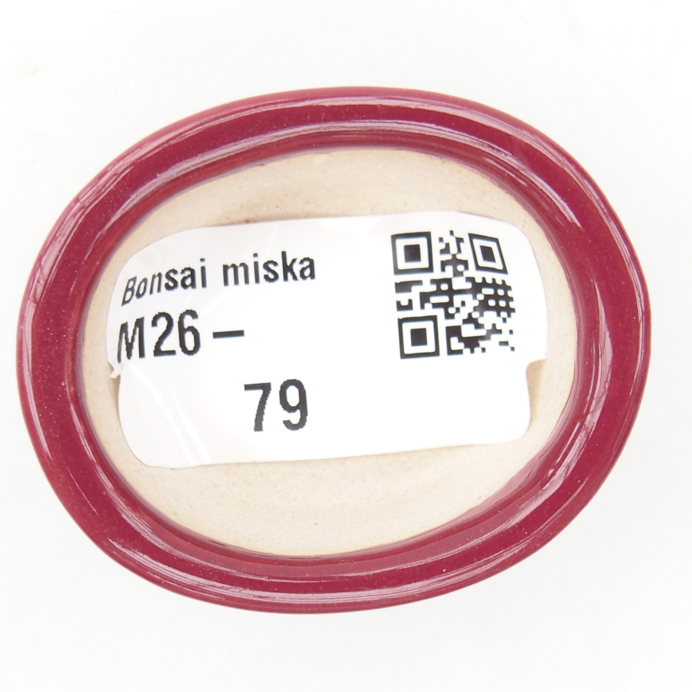 Mini miska do bonsai 4,5 x 4 x 2 cm, bordowa