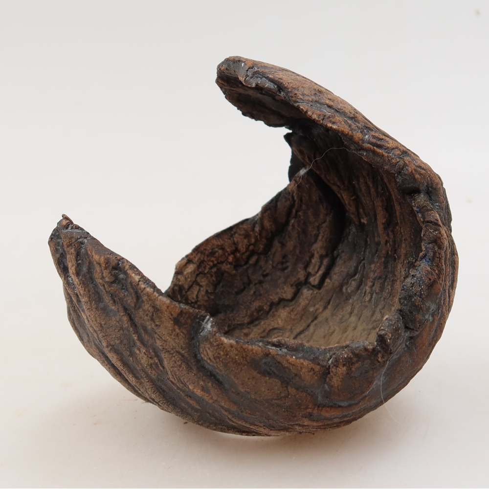 Ceramiczna skorupa  10 x 10 x 11 cm, kolor brązowy