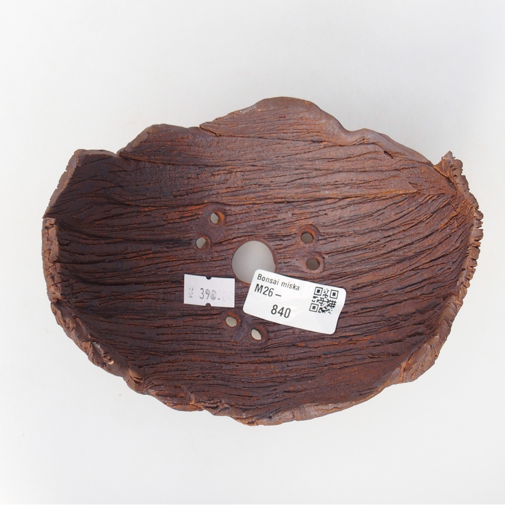 Ceramiczna skorupa 14 x 12 x 9,5 cm, kolor brązowy