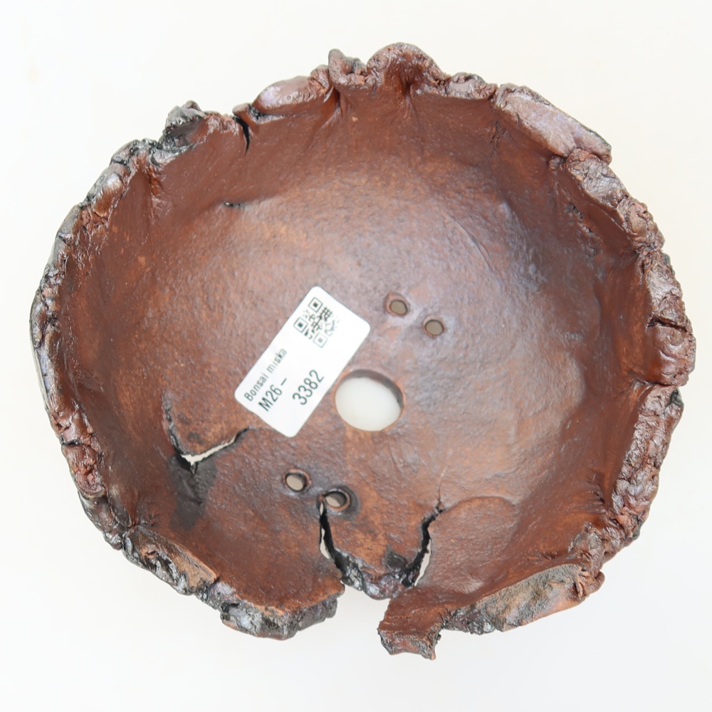 Ceramiczna skorupa 14,5 x 14 x 8,5 cm, kolor brązowy
