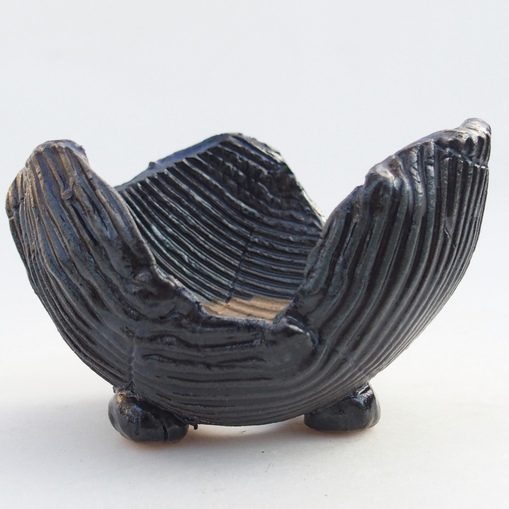 Ceramiczna muszla 10,5 x 9,5 x 6,5 cm, kolor niebieski