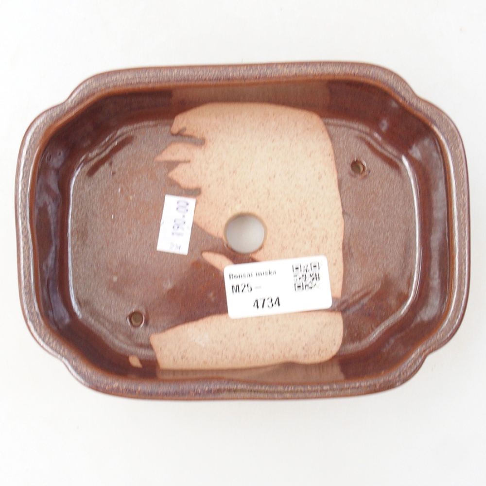 Ceramiczna miska bonsai 15 x 11,5 x 4,5 cm, kolor brązowy