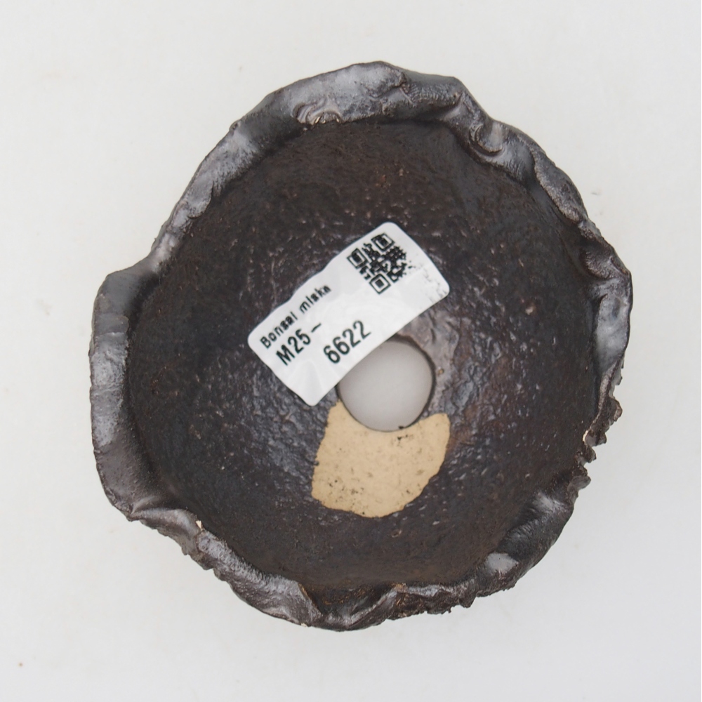 Muszla ceramiczna 9 x 9 x 6 cm, kolor czarny