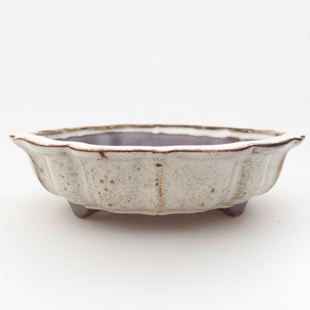 Ceramiczna miska bonsai 18 x 18 x 5 cm, kolor biały