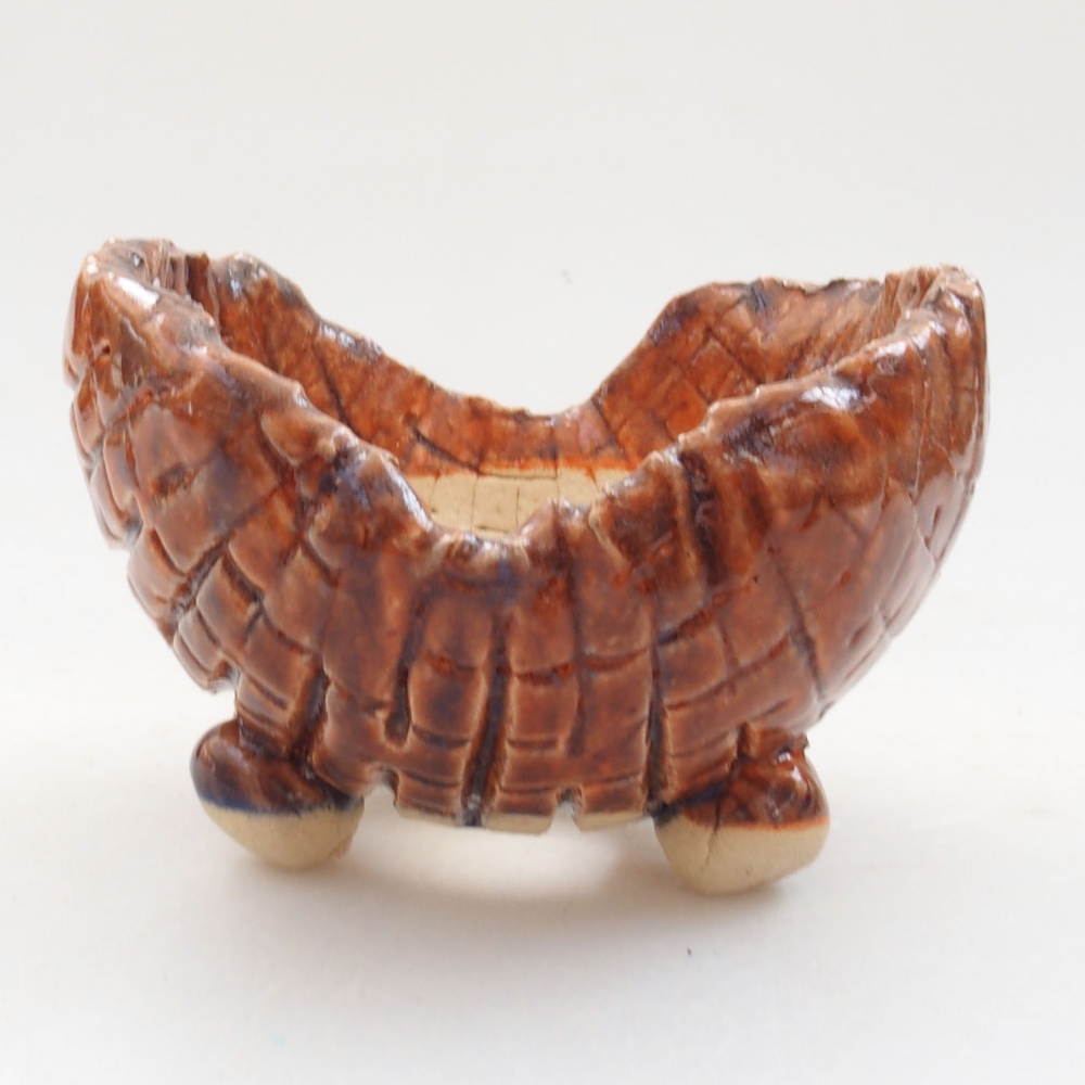 Muszla ceramiczna 7,5 x 7 x 6 cm, kolor brązowy