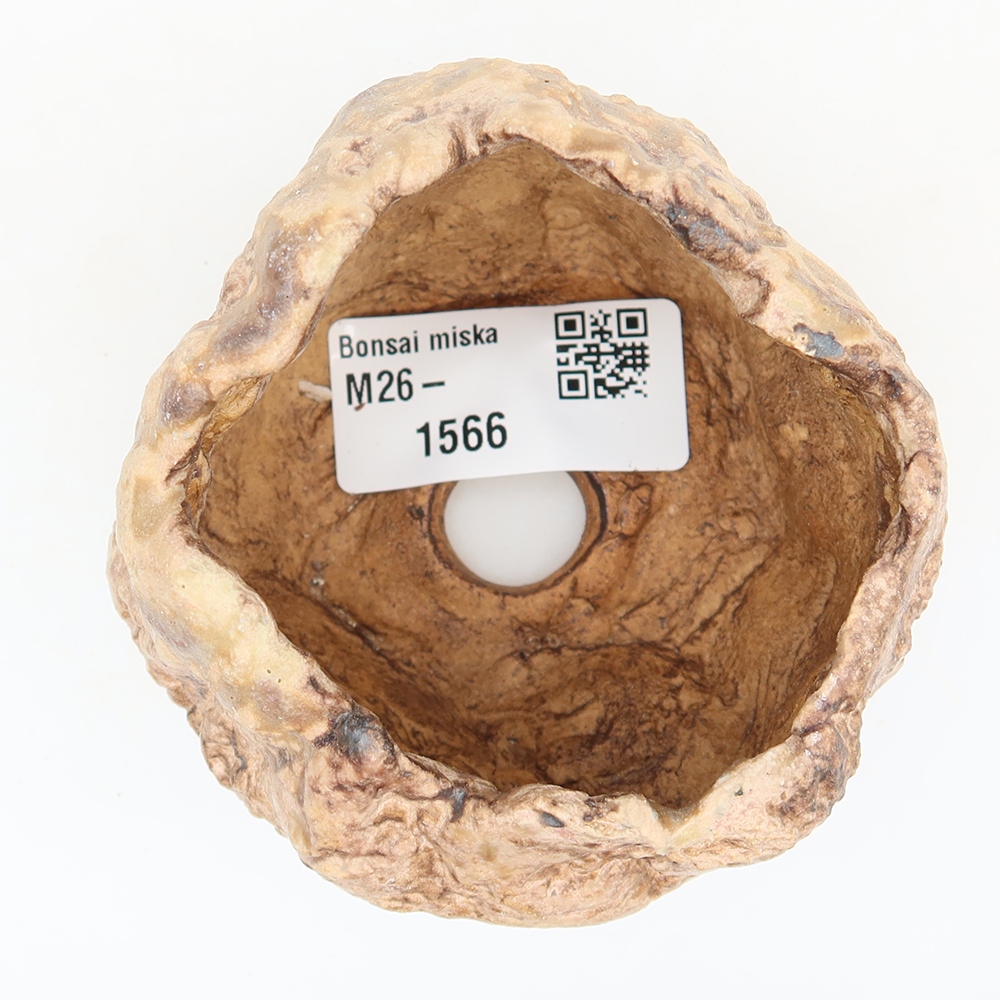 Ceramiczna skorupka  6 x 5,5 x 6 cm, kolor brązowy