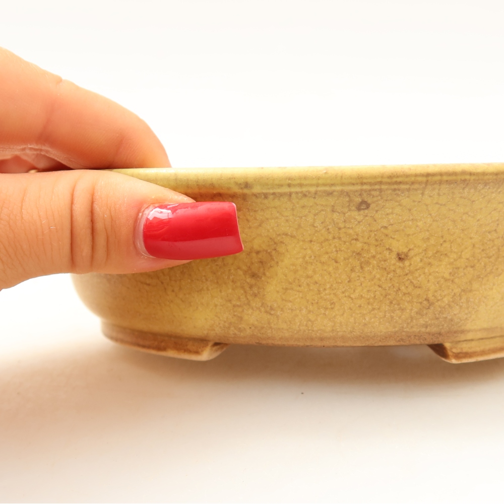 Ceramiczna miska do bonsai 15,5 x 14,5 x 4 cm, kolor żółty