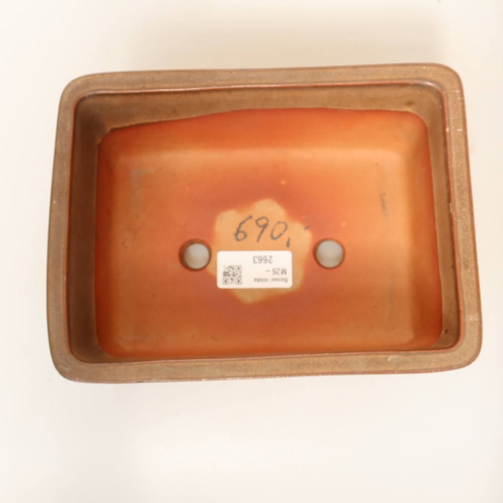 Ceramiczna skorupa  19,5 x 15 x 8,5 cm, kolor brązowy