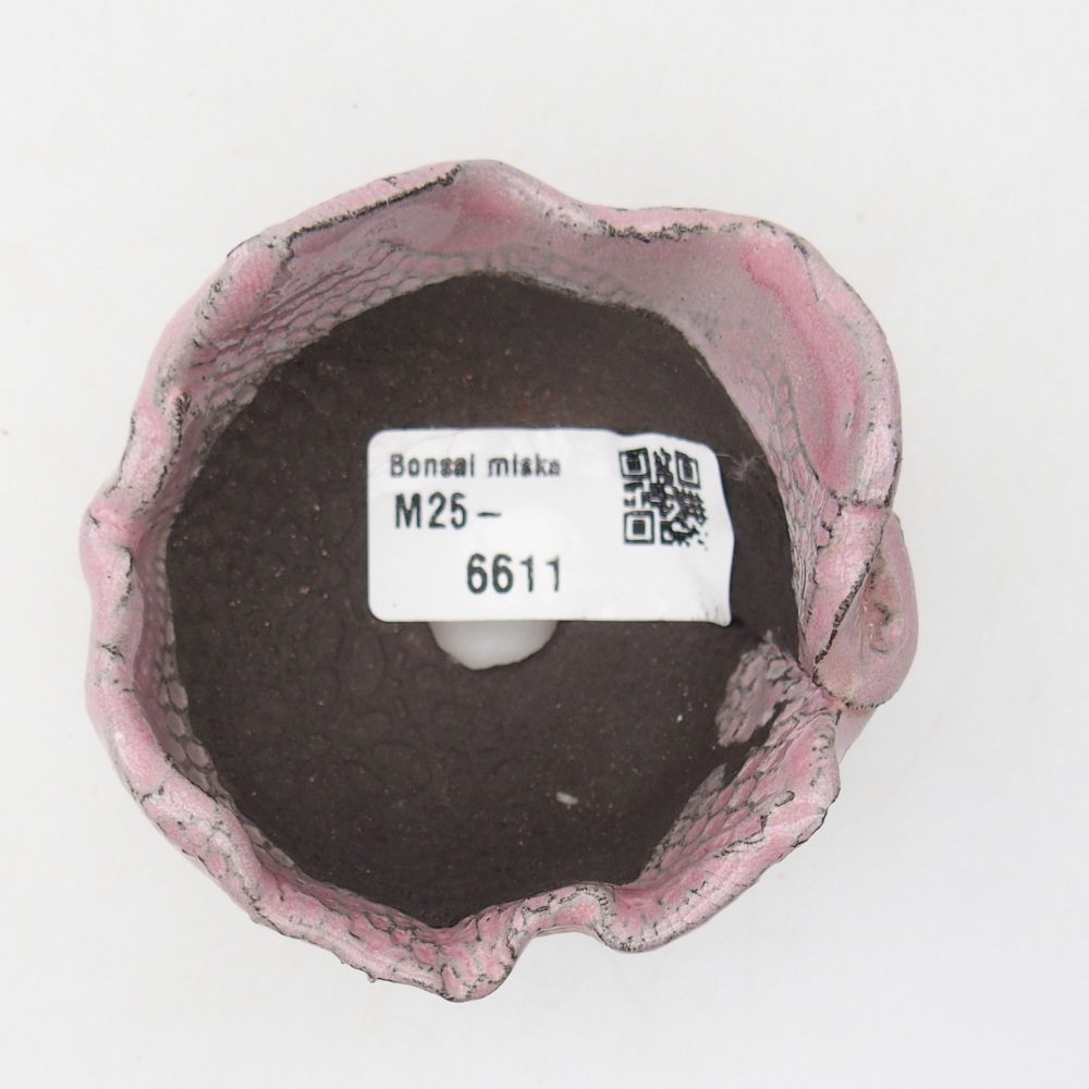 Ceramiczna muszla 7 x 7 x 6,5 cm, kolor fioletowy