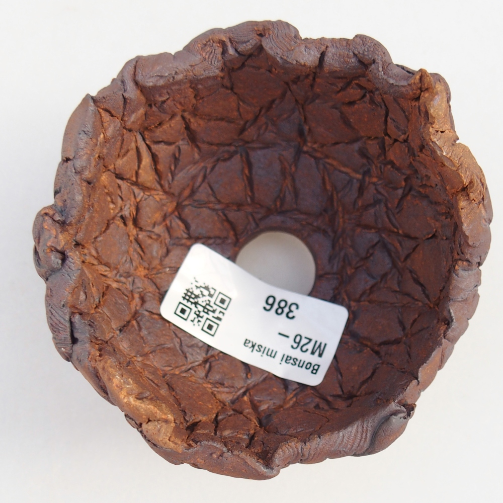 Ceramiczna muszla 8,5 x 8 x 6 cm, kolor brązowy