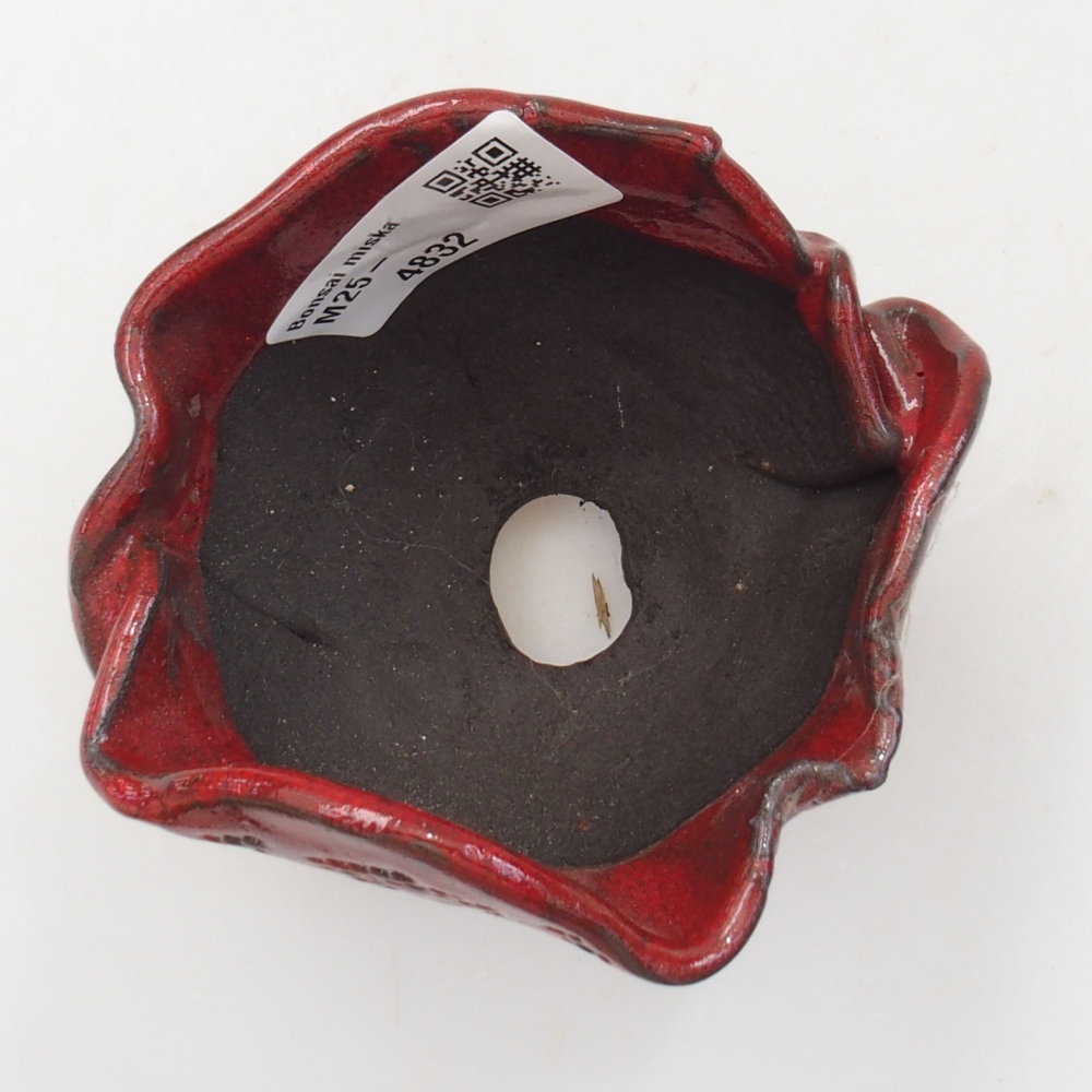 Muszla ceramiczna 8 x 7 x 8 cm, kolor czerwony