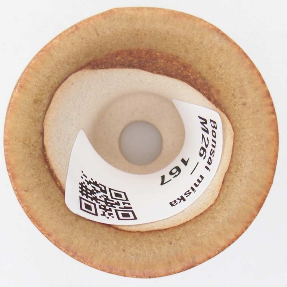 Mini miska do bonsai 4,5 x 4,5 x 4 cm, brązowa