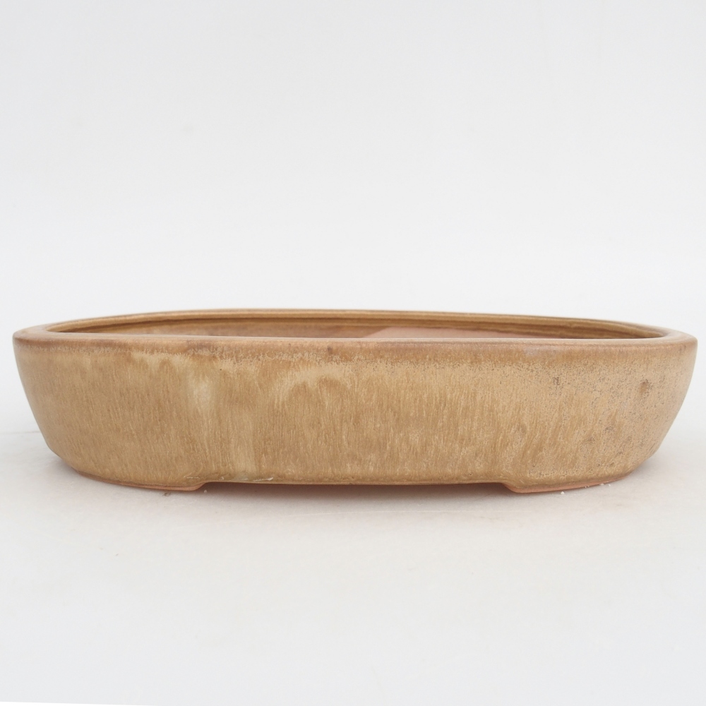 Ceramiczna miska do bonsai 22,5 x 17 x 4,5 cm, kolor beżowy