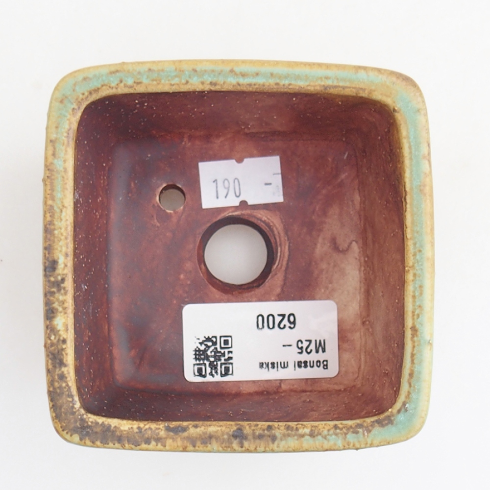Ceramiczna miska do bonsai 8 x 8 x 5,5 cm, zielona