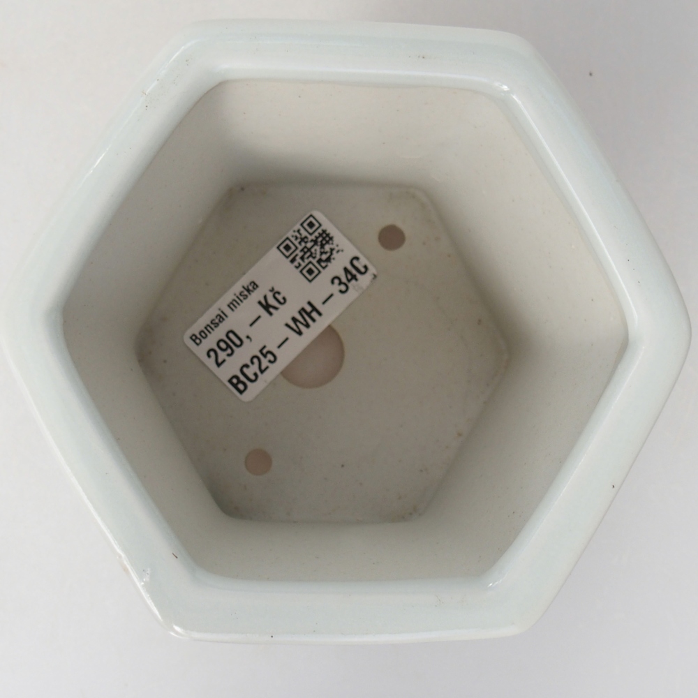 Ceramiczna miska do bonsai 10,5 x 9,5 x 9 cm, kolor biały