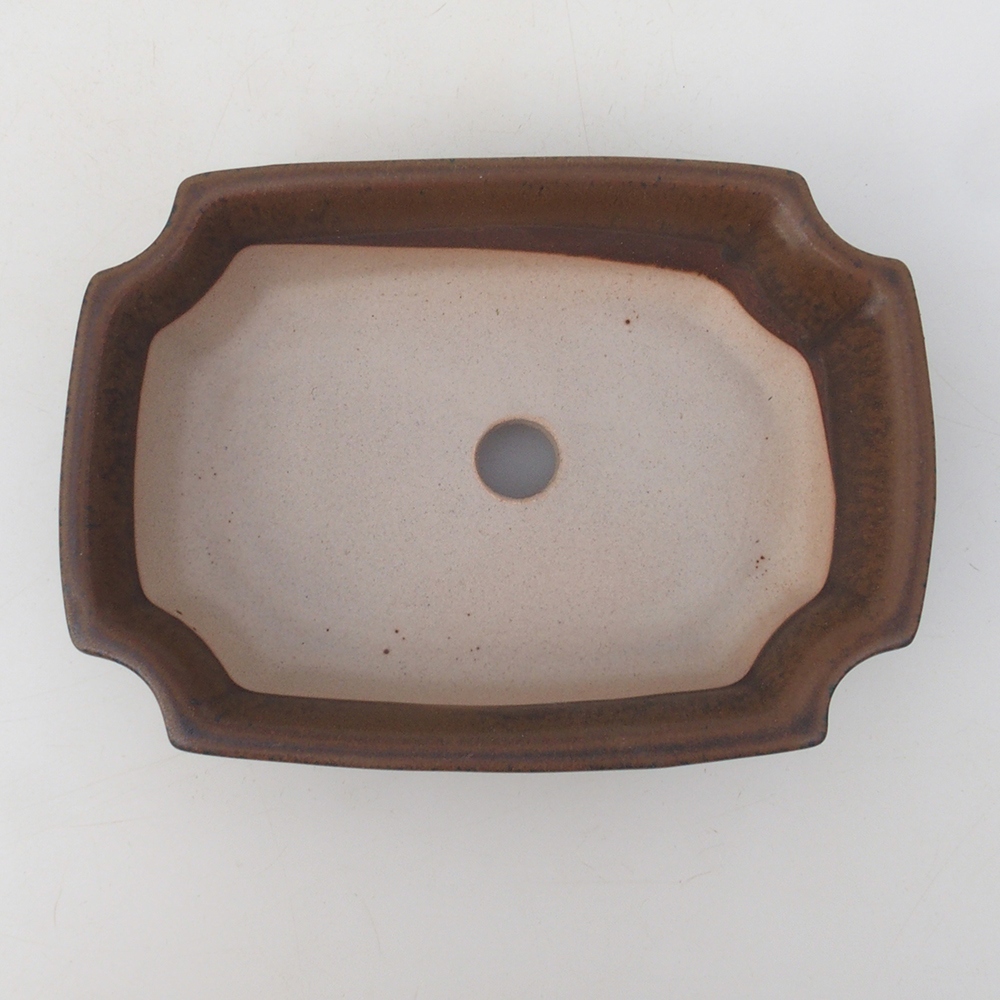 Bonsai bowl H03 - 16,5 x 12 x 4,5 cm. - brązowy