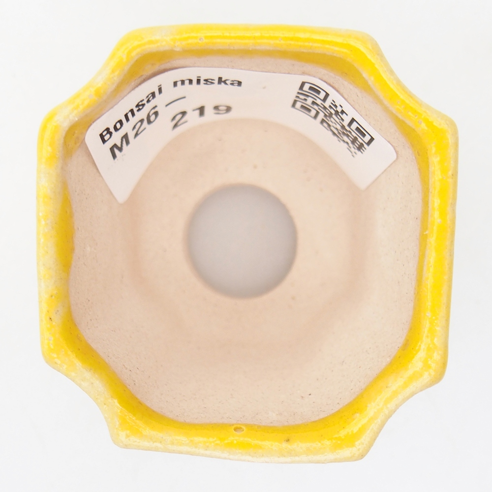 Mini miska do bonsai 4,5 x 4,5 x 4 cm, żółta