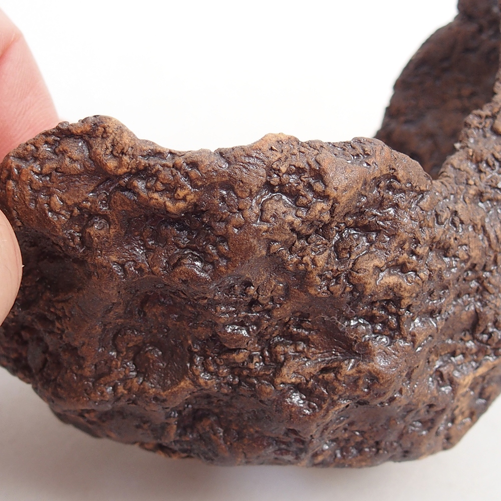 Ceramiczna muszla 10 x 8 x 9,5 cm, kolor brązowy