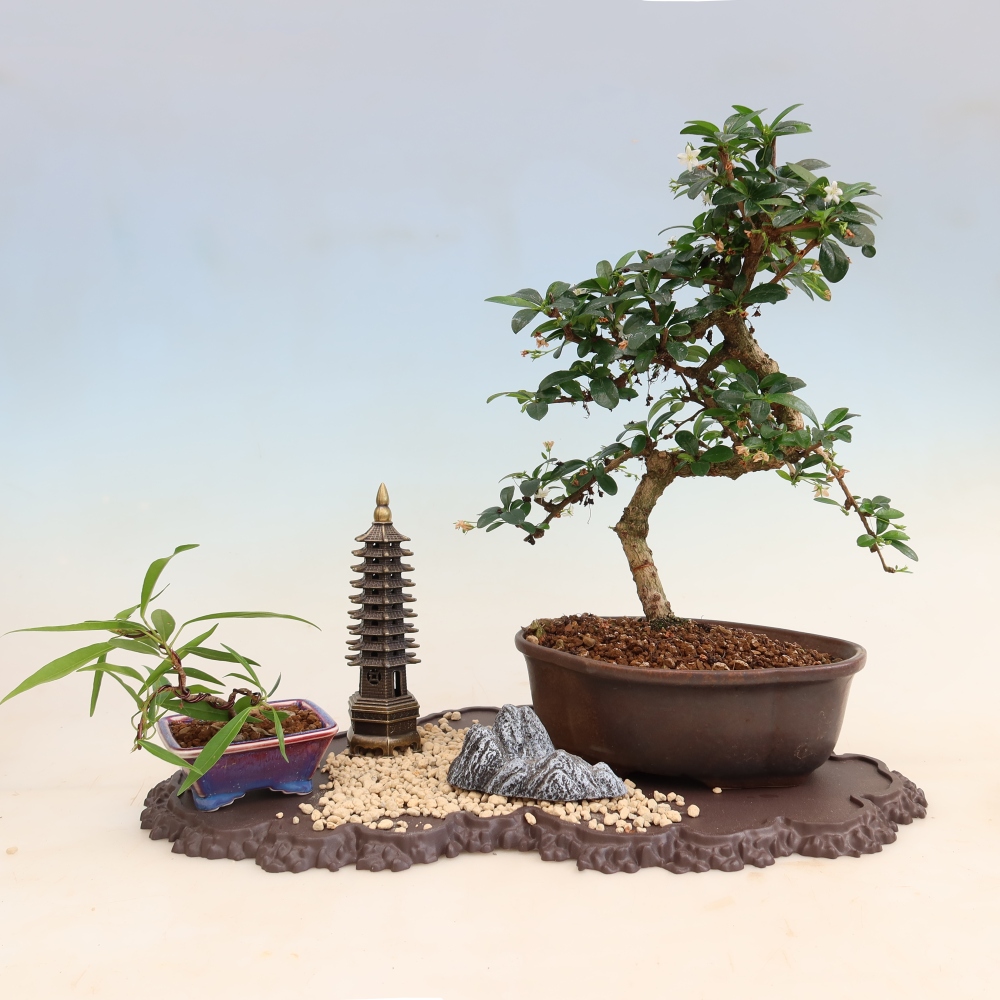 Plastikowa podstawka pod bonsai 43 x 25 x 1,5 cm, kolor brązowy