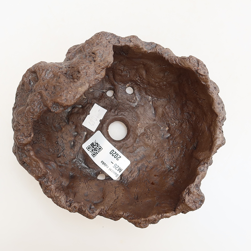 Ceramiczna skorupa 13,5 x 12 x 13 cm, kolor brązowy
