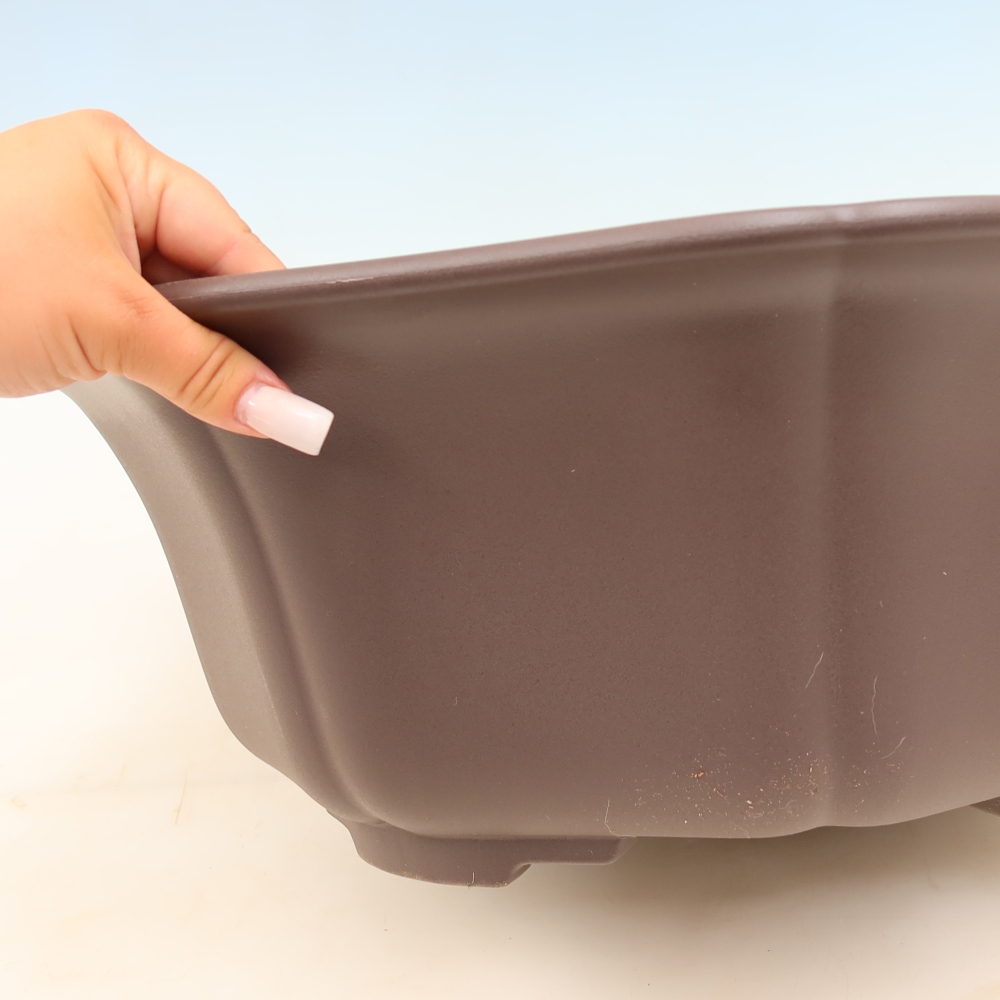 Plastikowa miska do bonsai MP-32, brązowa – 49 x 47 x 17 cm