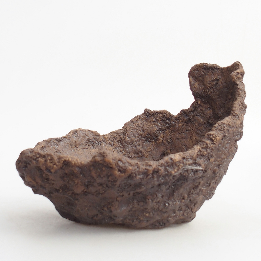 Ceramiczna skorupa 19 x 15 x 14 cm, kolor brązowy