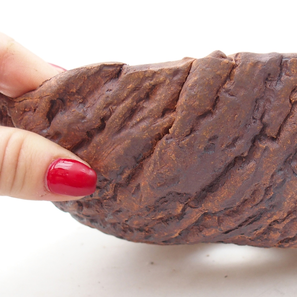 Ceramiczna muszla 18,5 x 18,5 x 8 cm, kolor brązowy