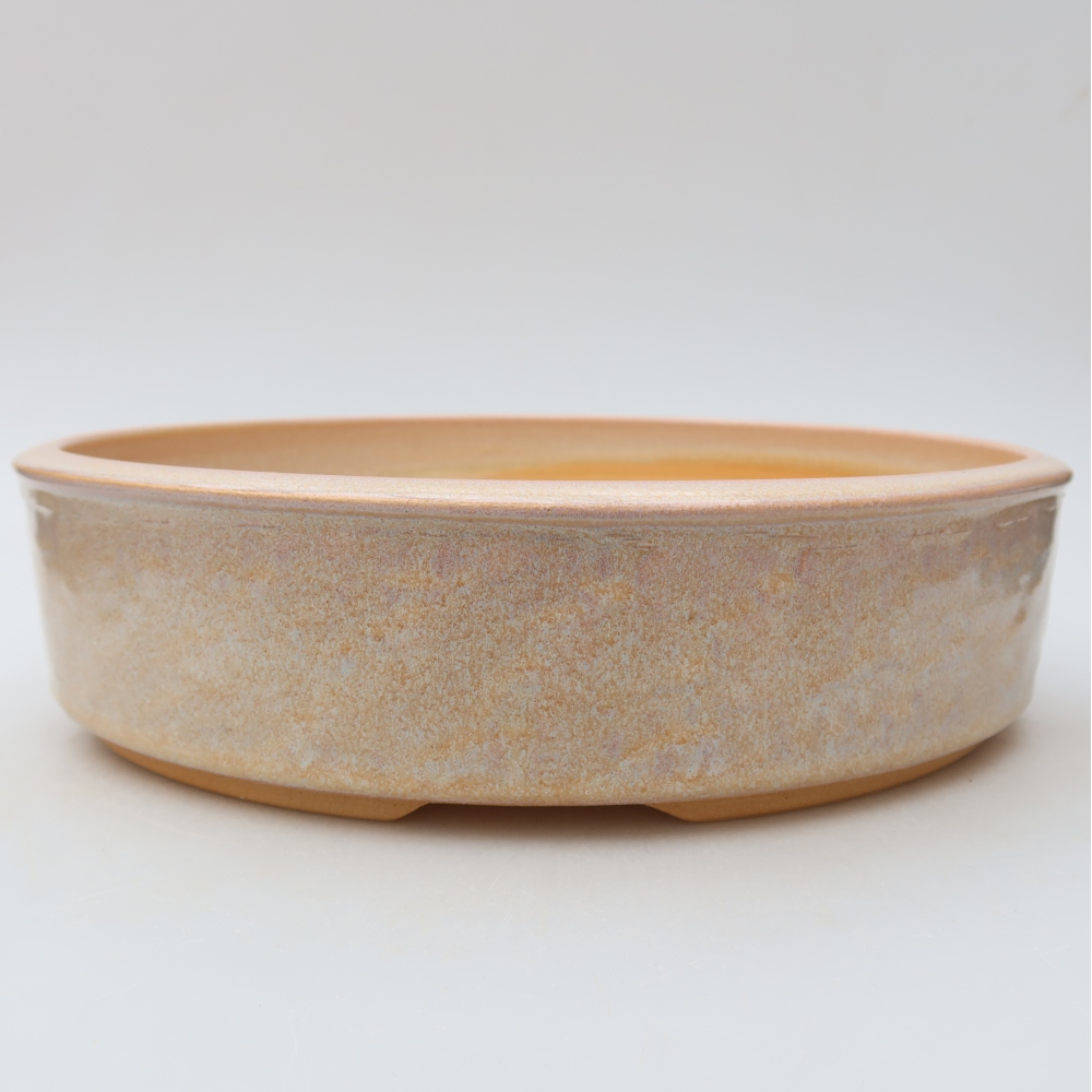 Ceramiczna doniczka do bonsai 26,5 x 26,5 x 6,5 cm, kolor beżowy