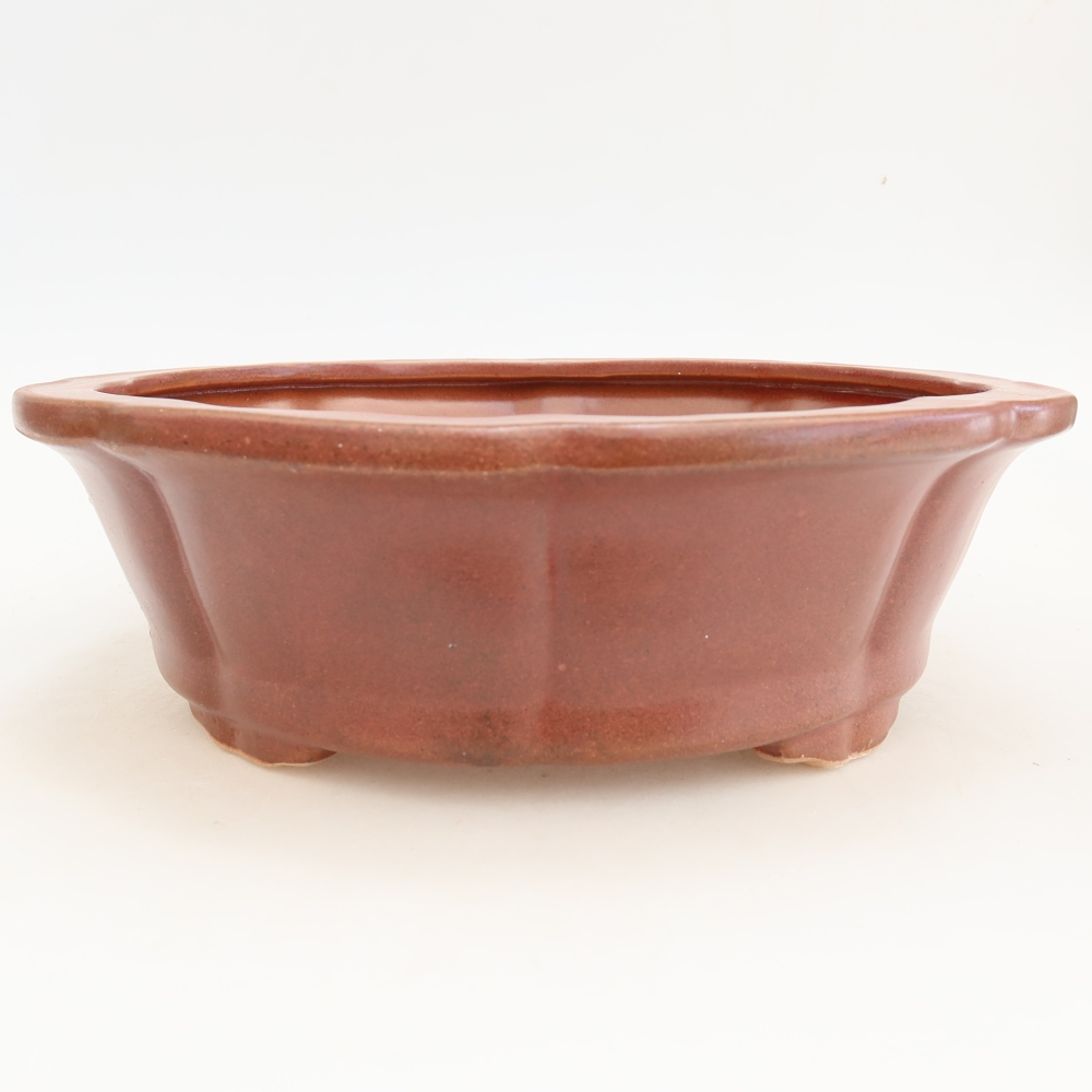 Ceramiczna miska na bonsai 26 x 26 x 8 cm, bordowa