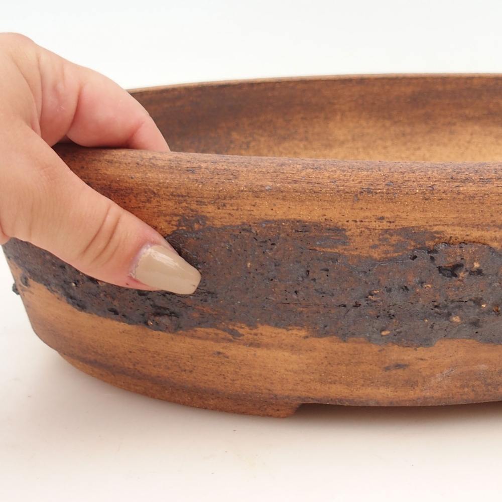 Misa do bonsai 32 x 25 x 8 cm, kolor brązowy