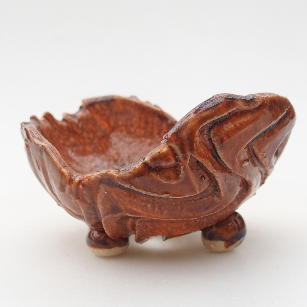 Ceramiczna skorupa 8 x 9,5 x 5 cm, kolor pomarańczowy