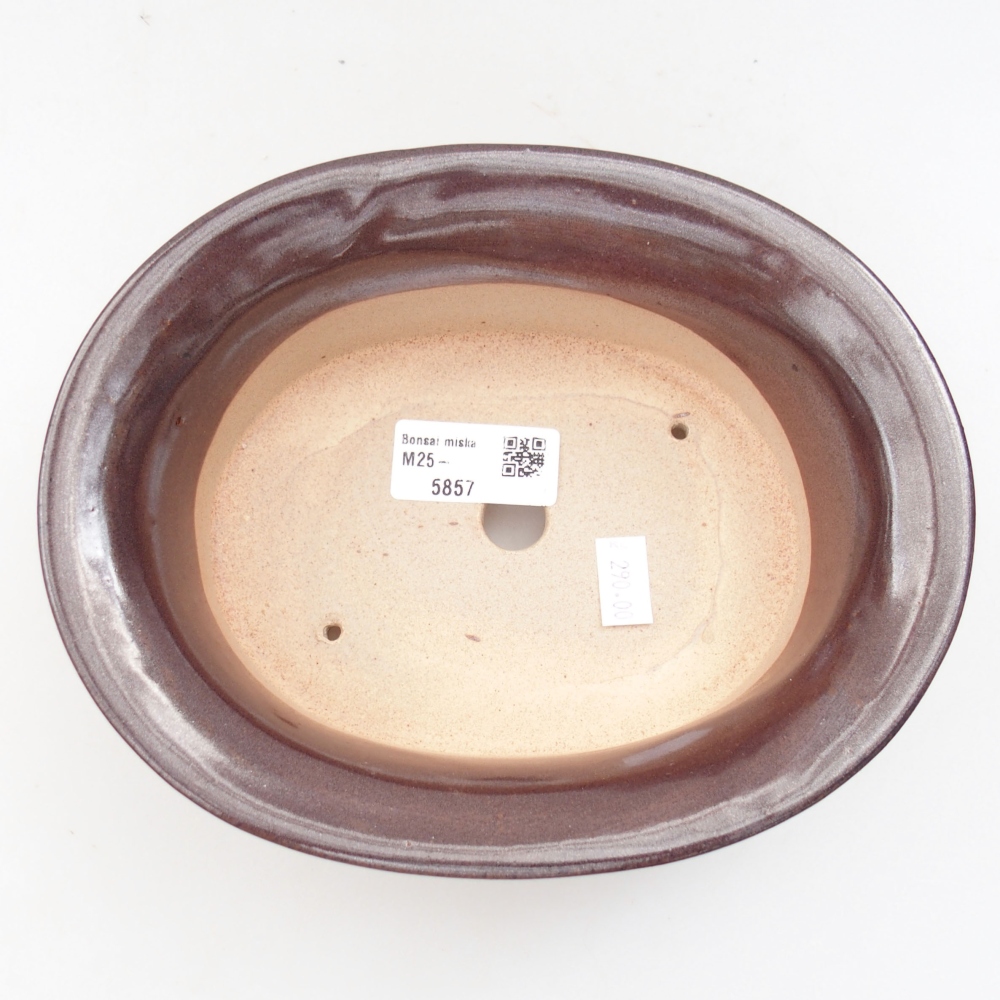 Ceramiczna miska bonsai 19,5 x 16 x 6,5 cm, kolor brązowy