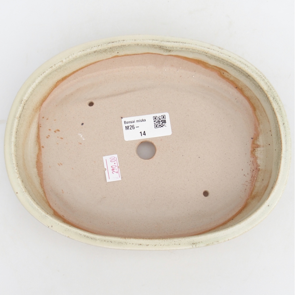 Ceramiczna miska do bonsai 22,5 x 17 x 4,5 cm, zielona