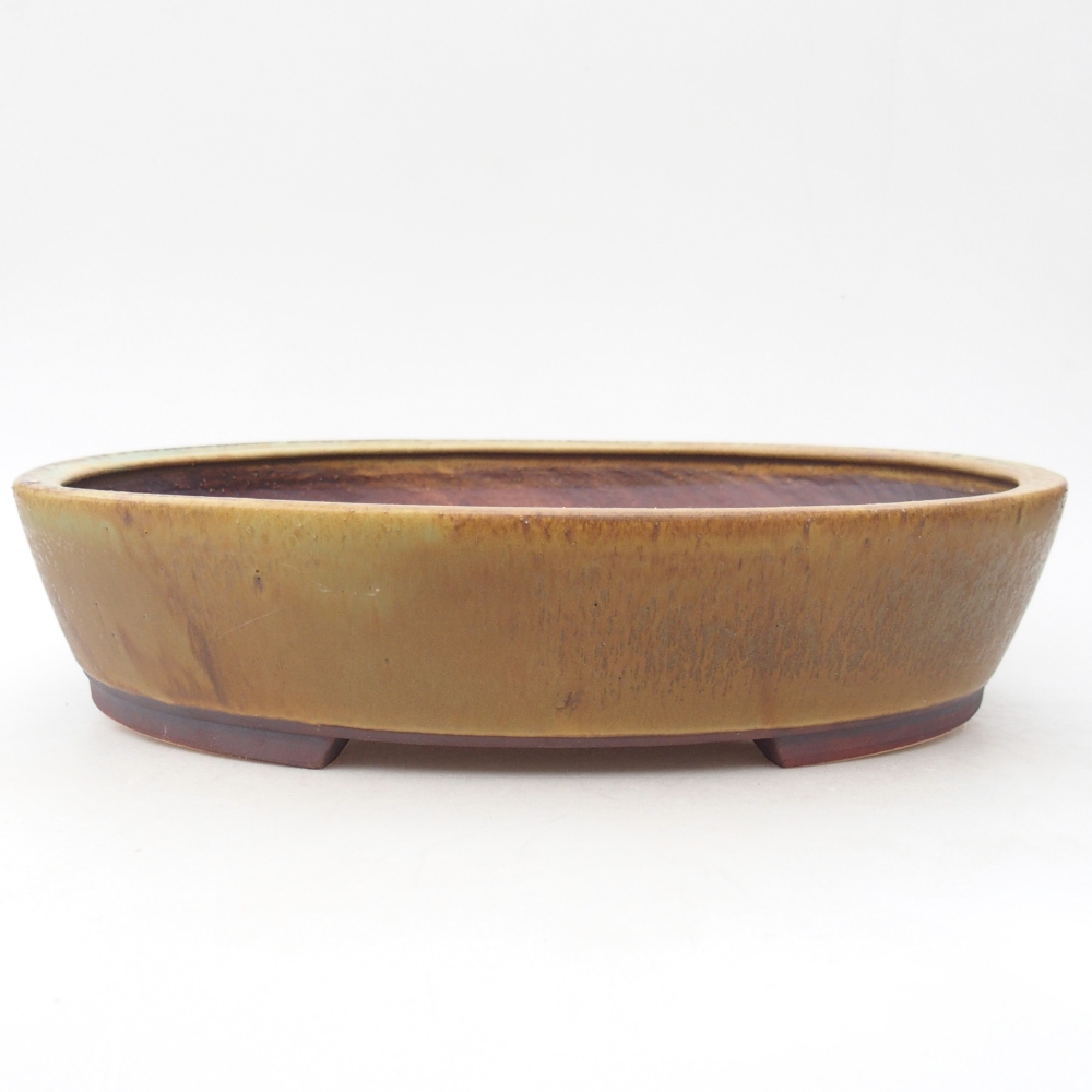 Ceramiczna miska do bonsai 28 x 24,5 x 6 cm, zielona