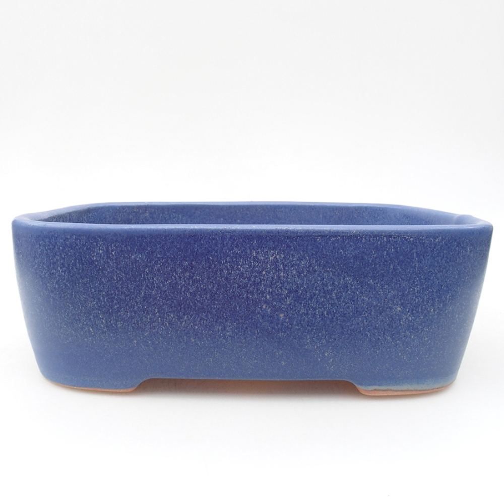 Ceramiczna miska bonsai 23 x 18 x 7,5 cm, kolor niebieski