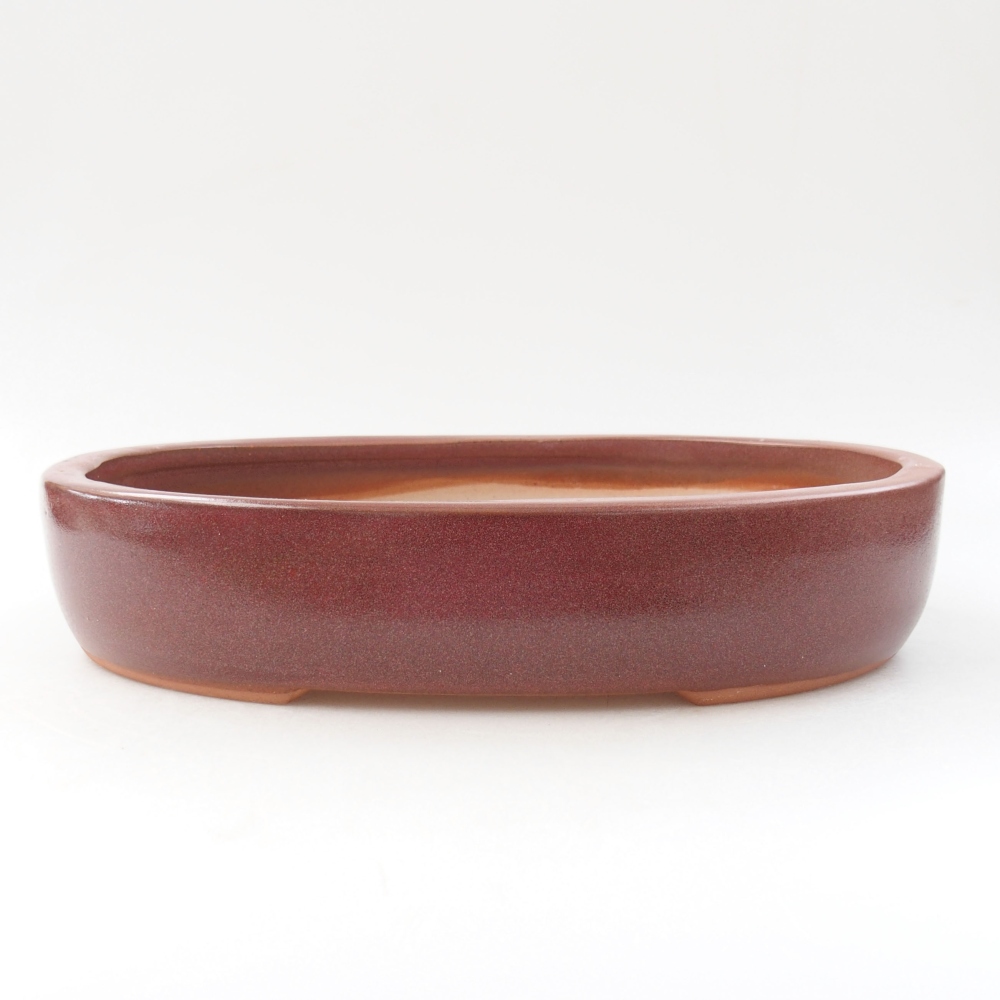 Ceramiczna miska bonsai 25,5 x 22 x 8 cm, kolor bordowy