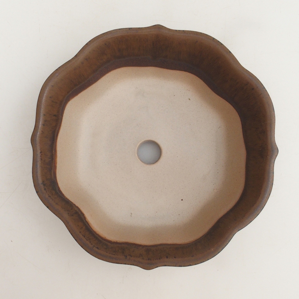 Bonsai bowl H16 - 14,5 x 14,5 x 5 cm. - brązowy