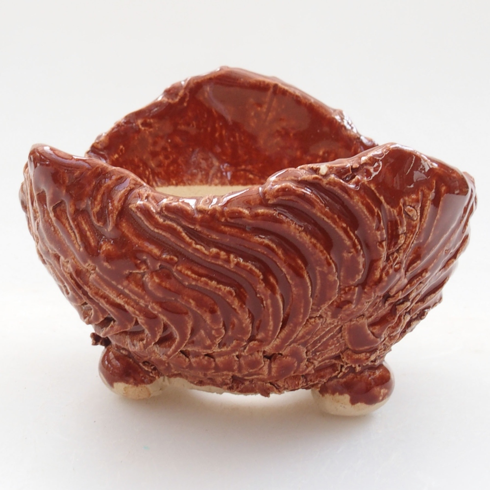 Muszla ceramiczna 8 x 7 x 6 cm, kolor brązowy