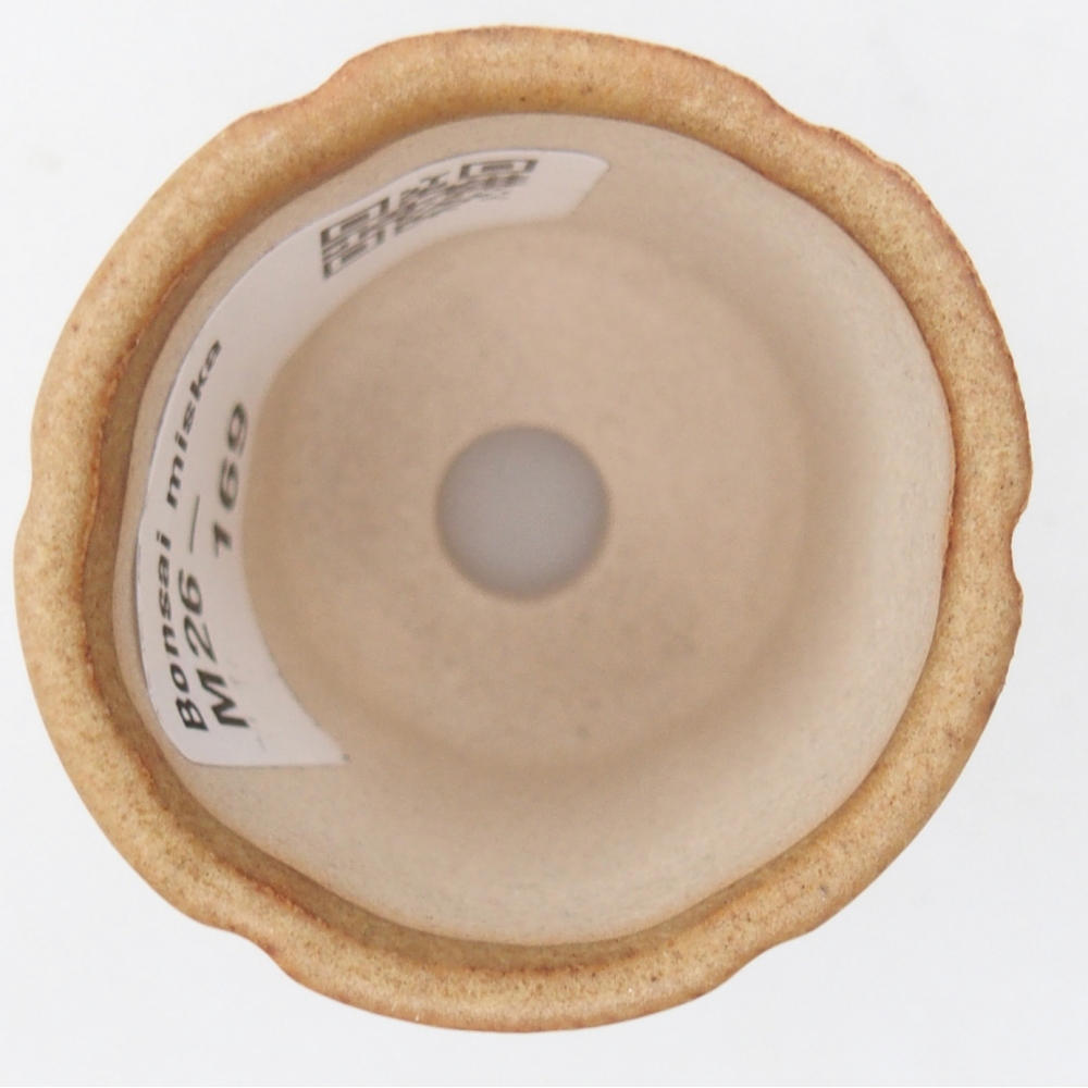 Mini miska do bonsai 4 x 4 x 4,5 cm, brązowa