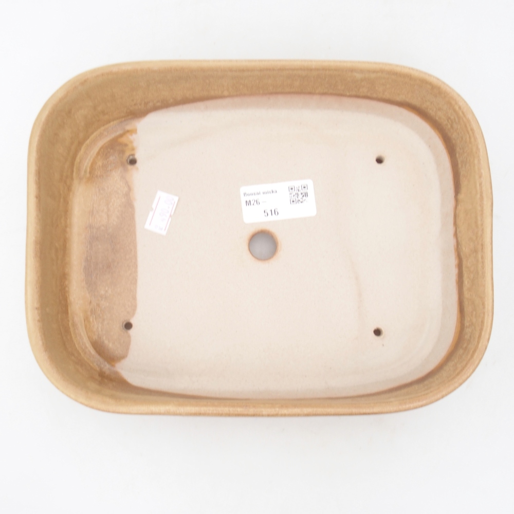 Ceramiczna miska do bonsai 22,5 x 17 x 6 cm, kolor beżowy