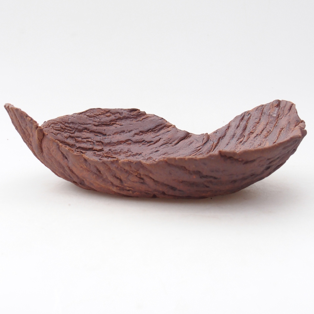 Ceramiczna muszla 22 x 18,5 x 6,5 cm, kolor brązowy