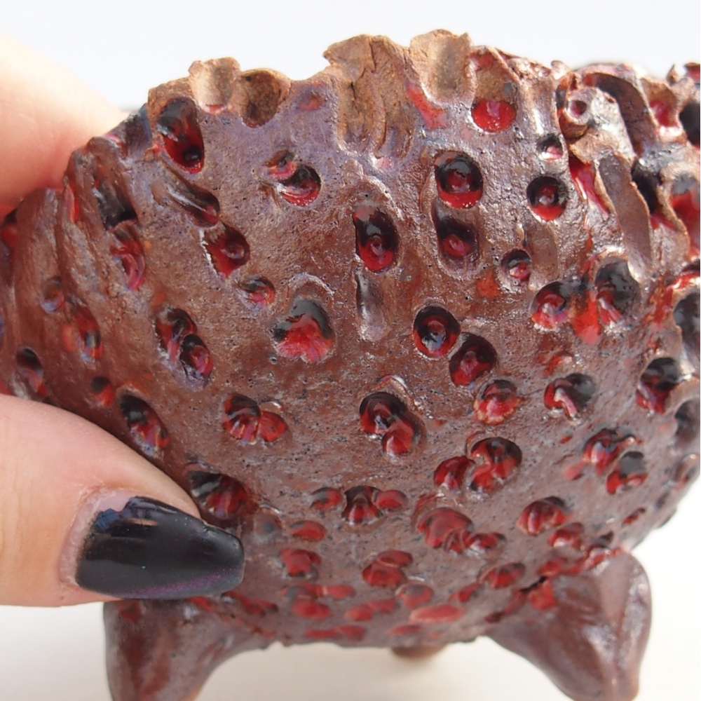 Ceramiczna muszla 10 x 9,5 x 8 cm, kolor brązowy