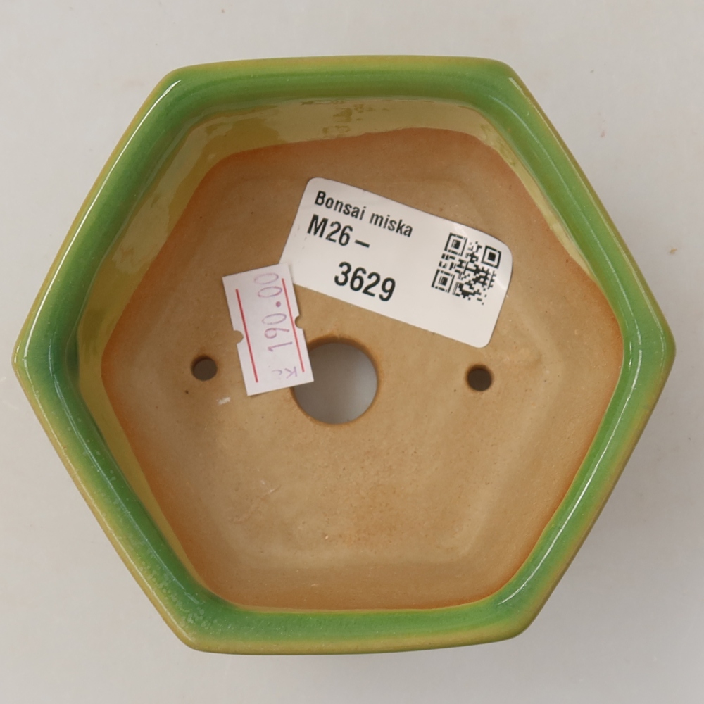 Ceramiczna miseczka do bonsai 10 x 9 x 5 cm, kolor zielony
